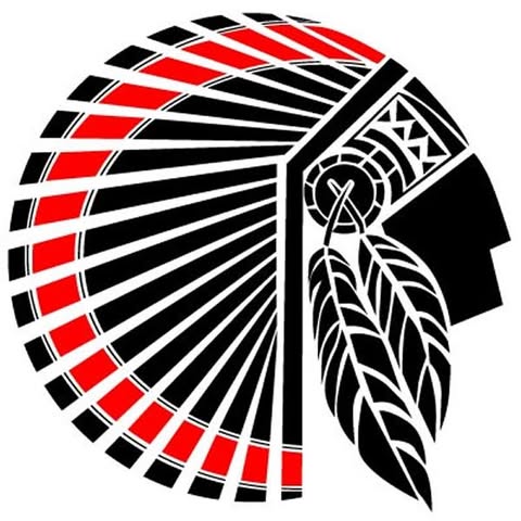 De Souza Dojo Brazilian Jiu-Jitsu Academy logo