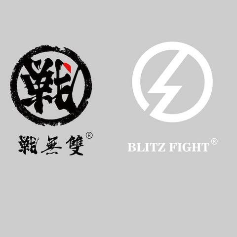 Blitzfight logo