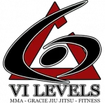 6 Levels Orlando logo