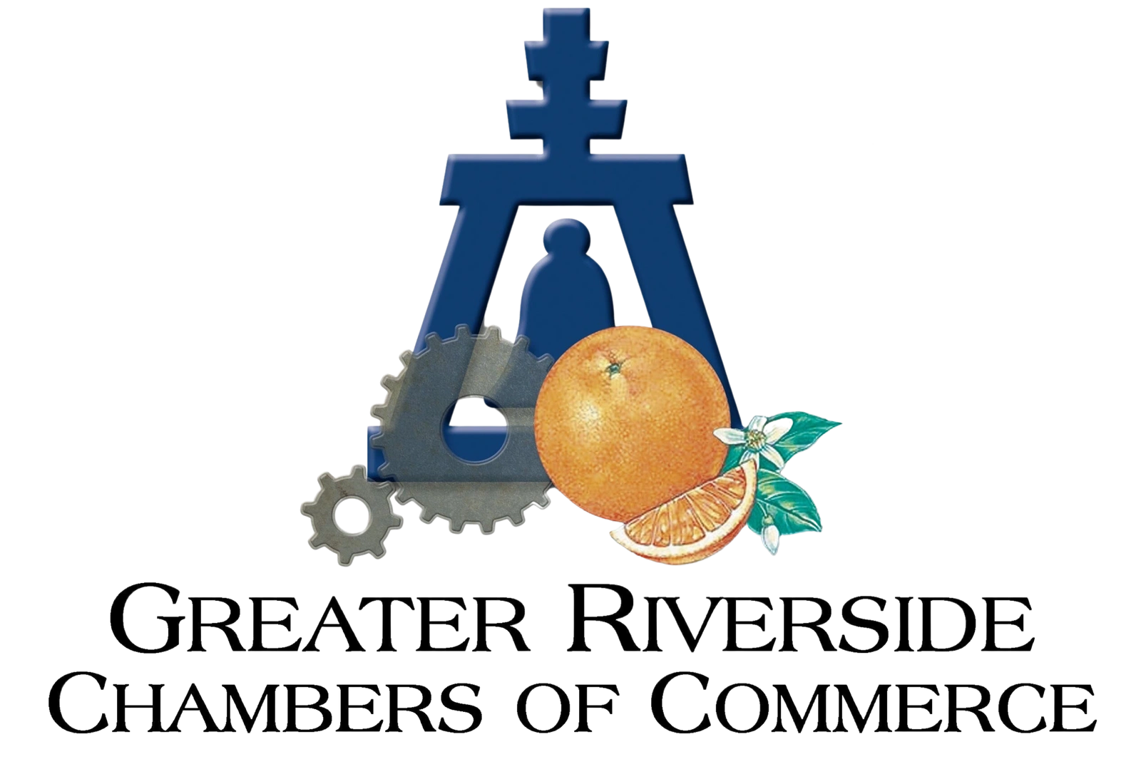 Absolution Brazilian Jiu-Jitsu logo