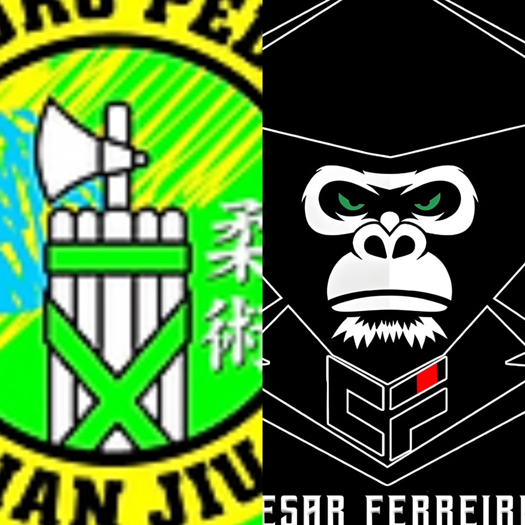 BJJ Team St. Gallen logo