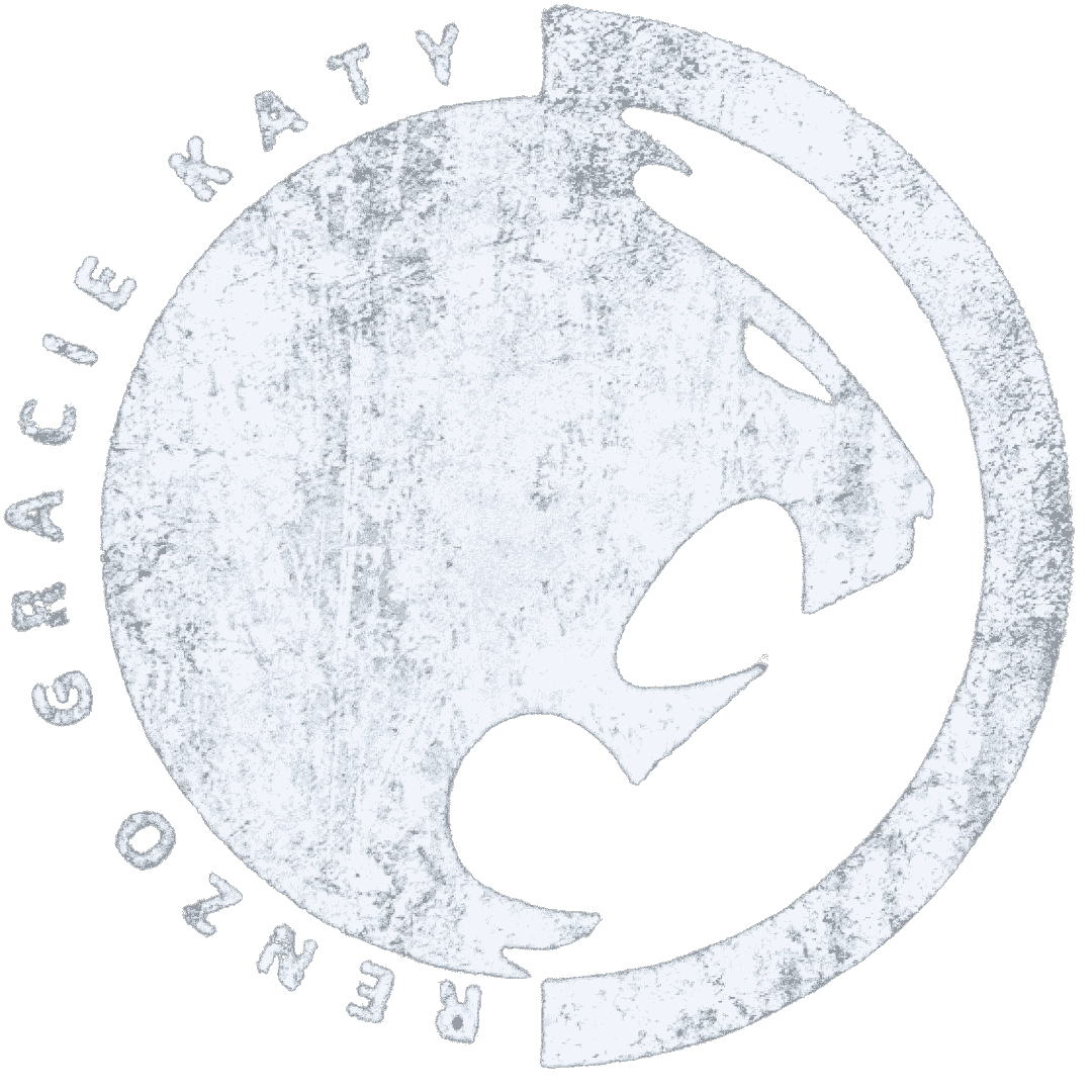 Caio Terra Academy - Katy logo