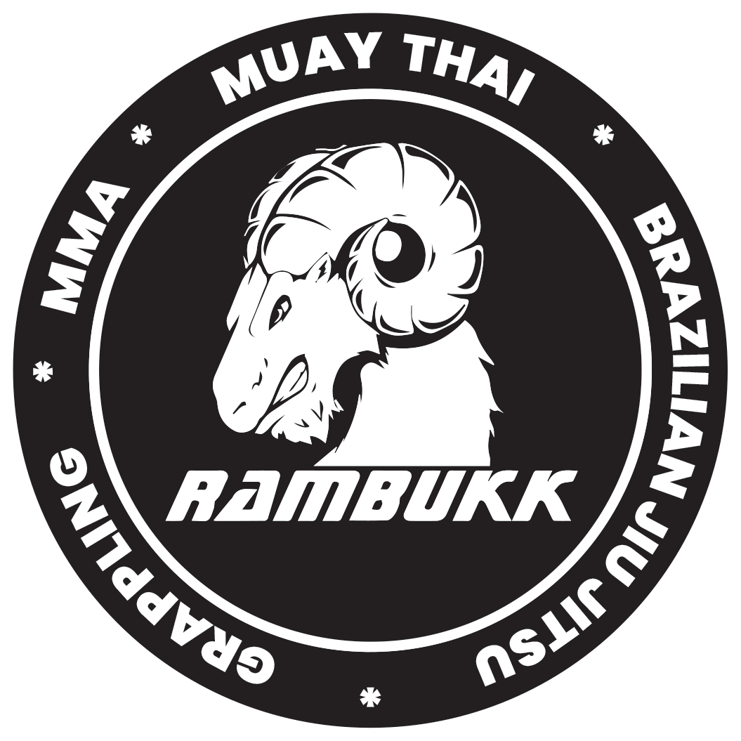 Checkmat Eidsvoll logo