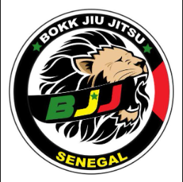 Bokk Jiu-Jitsu logo