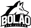 Bolão Jiu-Jitsu logo