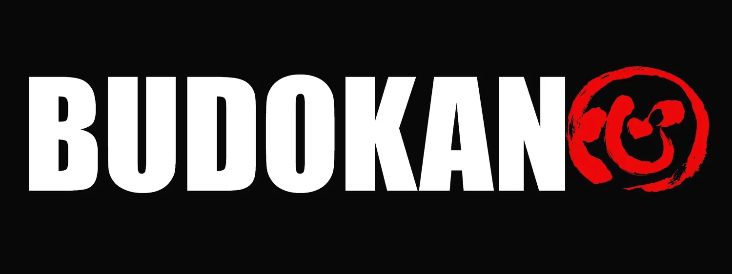 BDKN Martial Arts logo