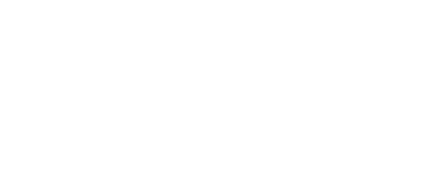 Bruno Dias BJJ Academy USA logo