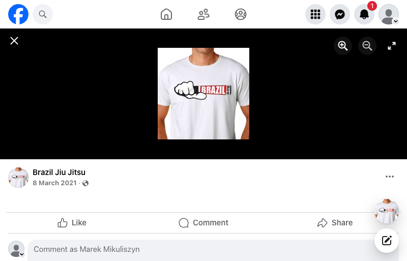 Brazil Jiu-Jitsu logo