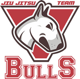 Bulls BJJ Colorado logo