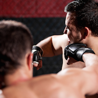 037 - Does MMA Make You Stupid?