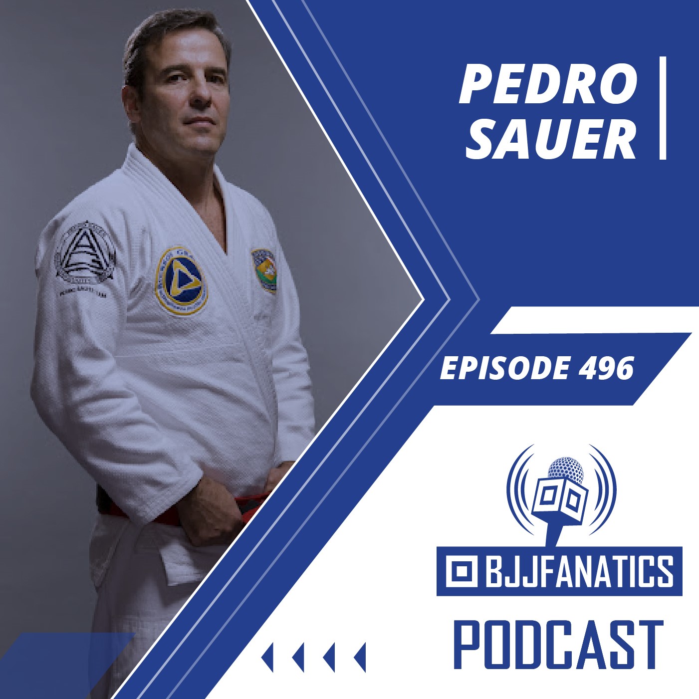 BJJ Fanatics 496: Pedro Sauer