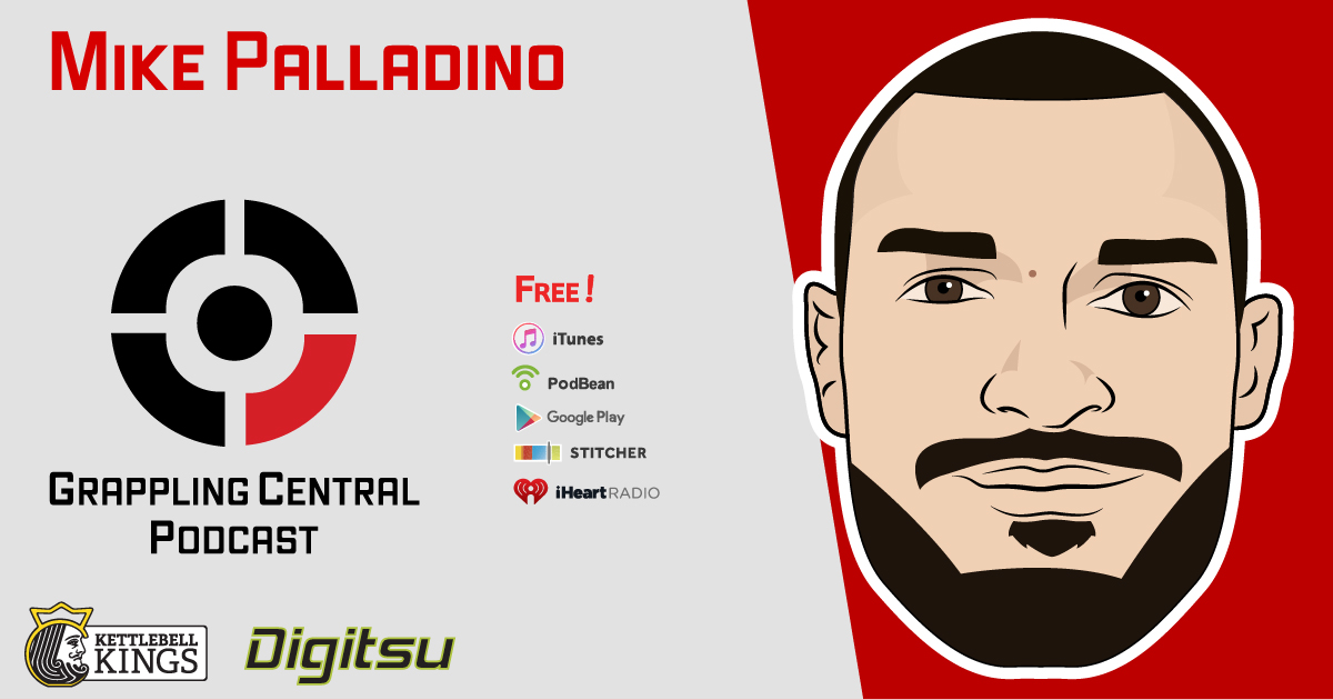 Episode 271: Mike Palladino