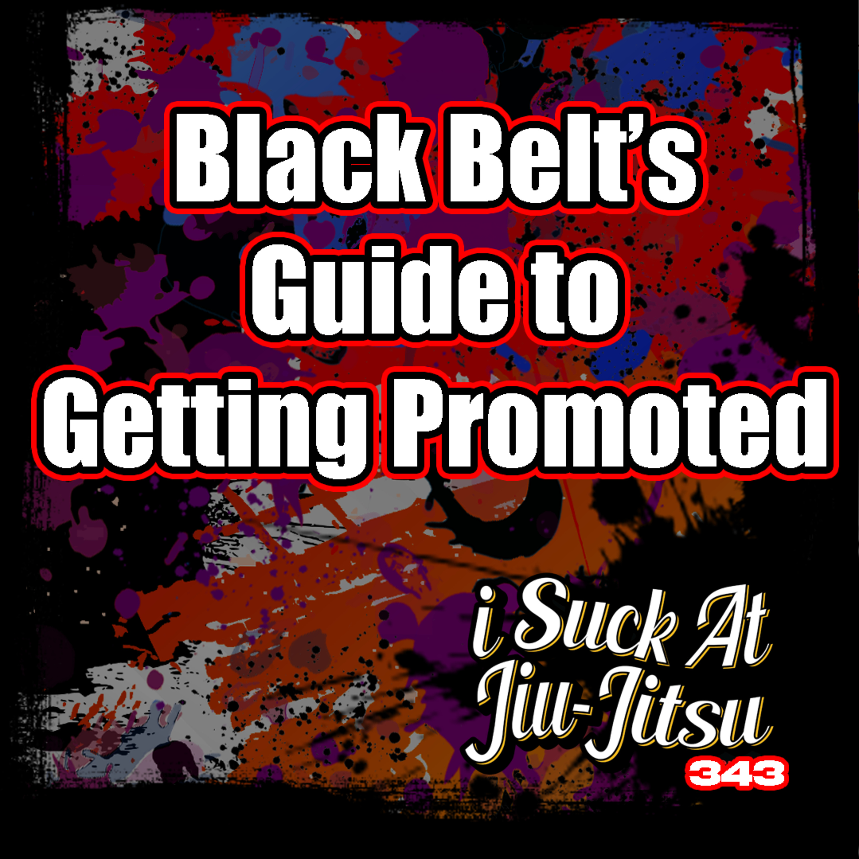 #343 Black Belt's Guide to Getting Promoted