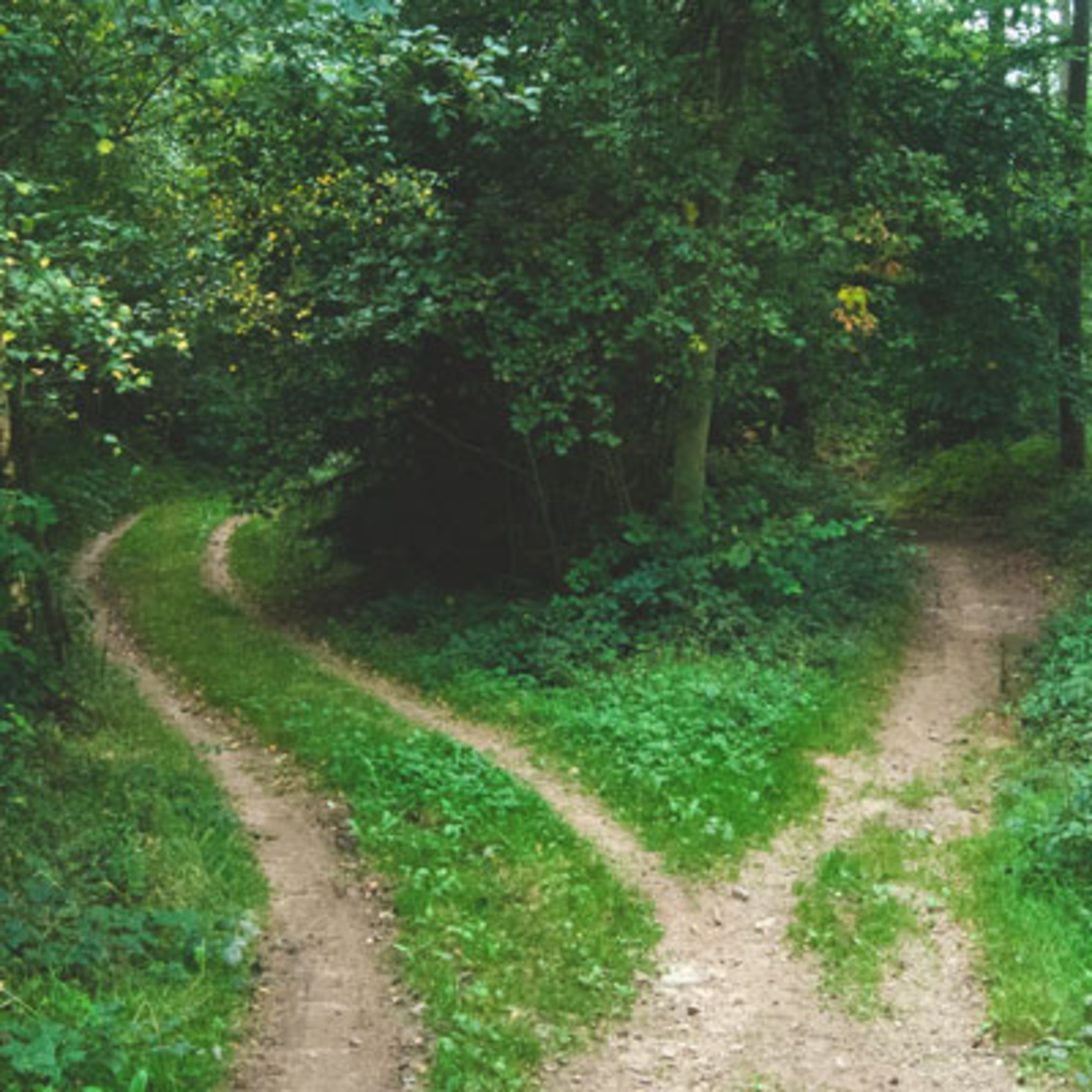 Tapping In Ep. 26: Gameplanning for Success