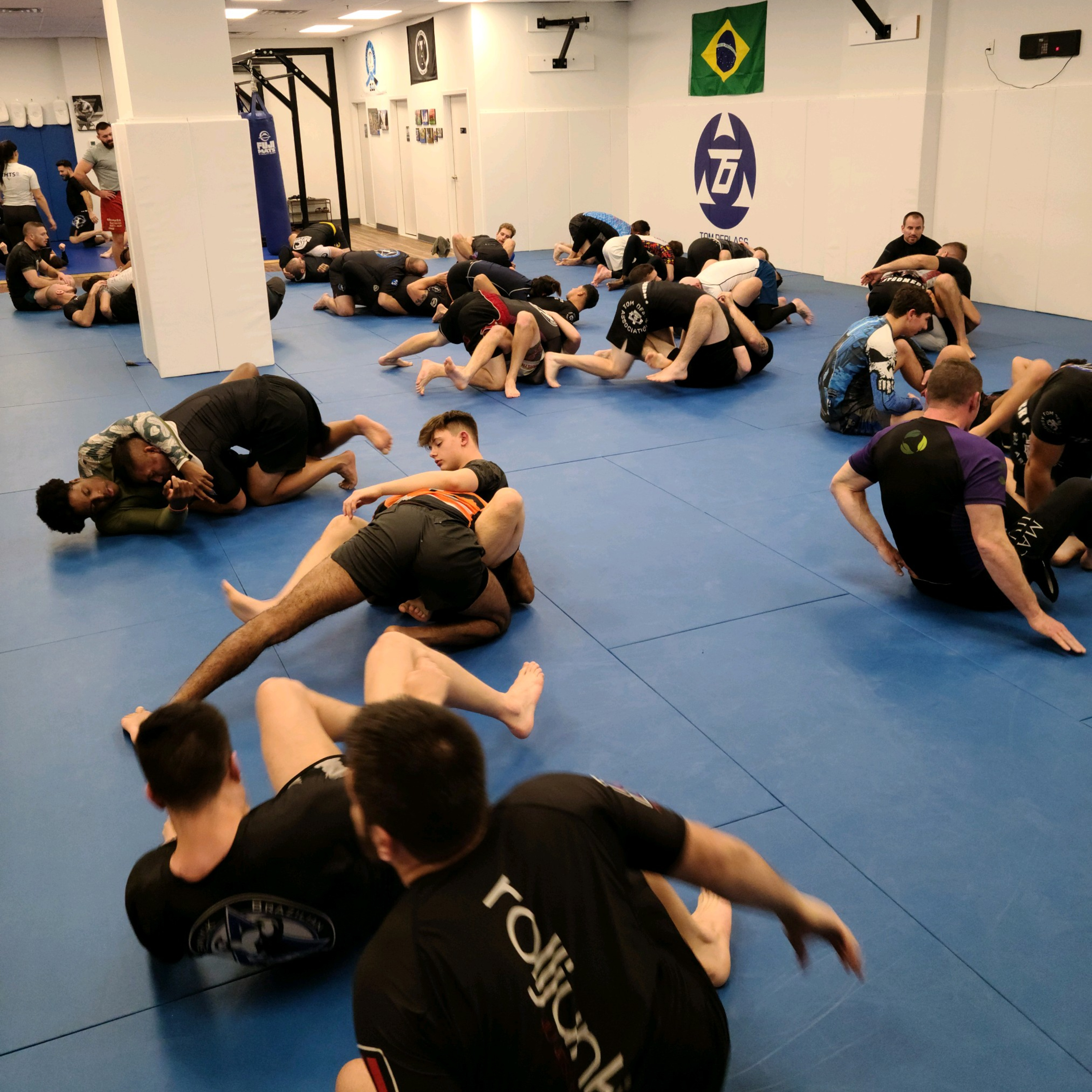 Tapping In Ep. 16: The Usual Suspects