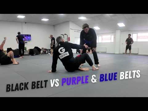 Black belt vs purple & blue betls