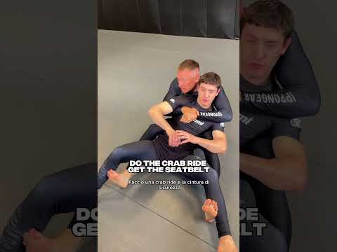 Via Simone Martini 143,Roma📍