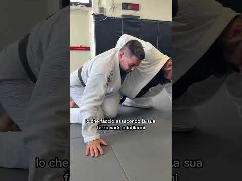 Via Simone Martini 143 ,Roma📍 #bjj #apprendrelejujitsu #combat #jiujitsu #mma