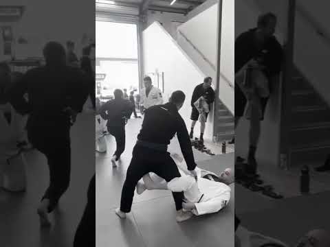 Vicente Cavalcanti BJJ Seminar Sneak Peak