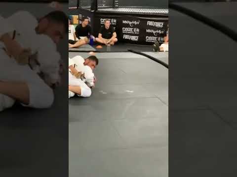 Sneaking the hooks in! Taking the back from turtle. #shorts #jiujitsu #backtobasics