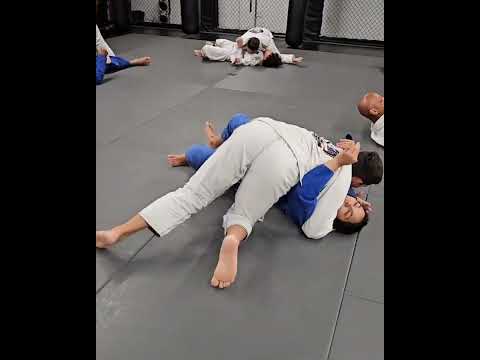 BJJ Gi Adults