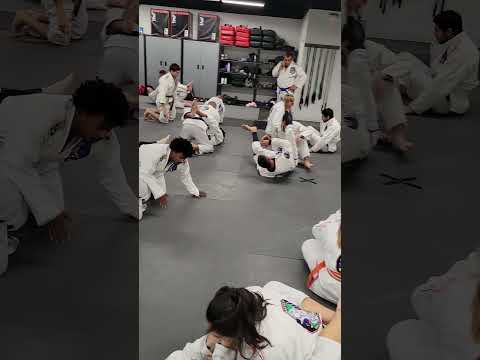 Royce Gracie Seminar 2023