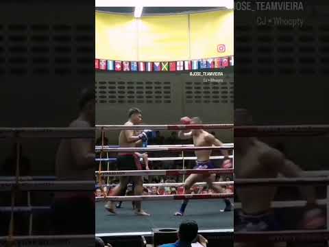 Low kick power K.O #muaythai #mma #sports #boxing #ufc #fighter