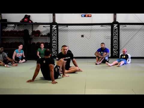 Leg entanglement transitions