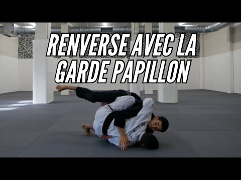 RENVERSE à tous les coups grâce à la GARDE PAPILLON