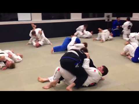 Brazilian Jiu Jitsu Bowral - Pure Jiu Jitsu