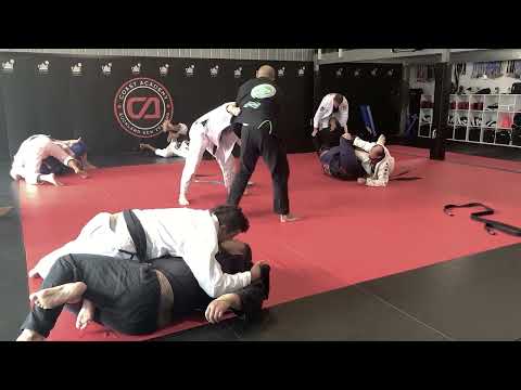 NZ BJJ Black Belt Meeting No.9