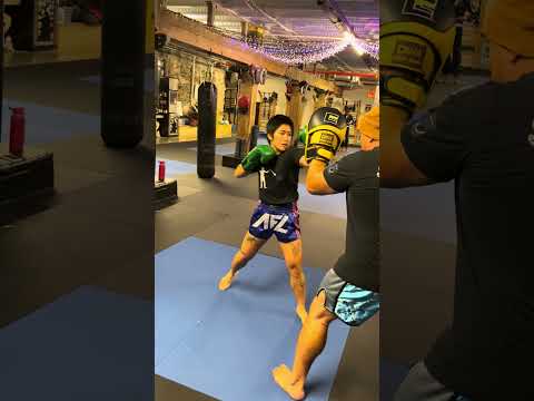 Combos 1-5 Adding a Mid Kick