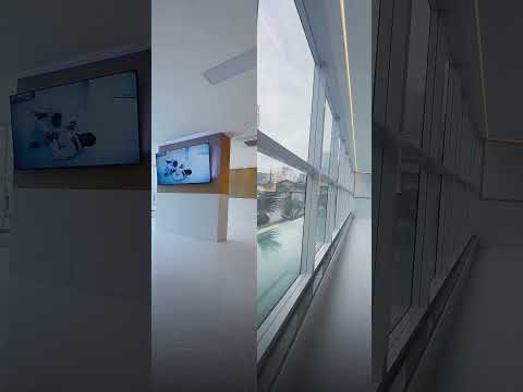 Segunda começando… e por aqui a energia já tá lá em cima! #blumenau #jiujitsu #jiujitsublumenau