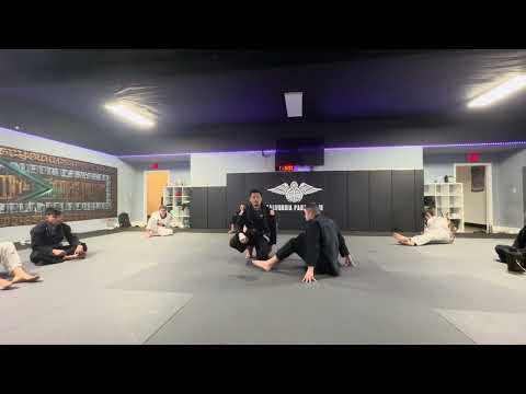 Learn How to Hogtie Pass in Jiu-Jitsu