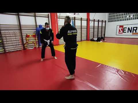 BJJ Roll - Alpha Wolf Pack
