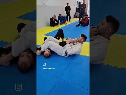 BJJTM End of Year 2024 #bjj #jiujitsu #bjjmalta #jiujitsufighter #nogi