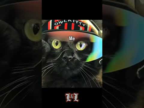 #lordandlions #ducatipanigalev2 #ducati #tommylmontoyabjj #bjj #rollridelift #superbikes