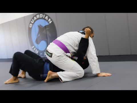 Martial Arts in Holland, Michigan [Guardian Jiu-Jitsu]