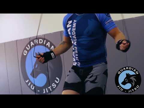 Kickboxing in Holland, Michigan [TRAILER]