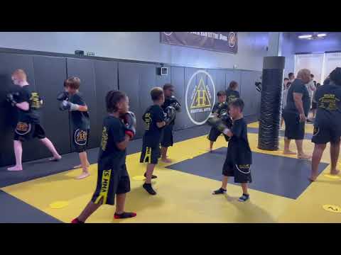 Hicks MMA Kids Boxing Class