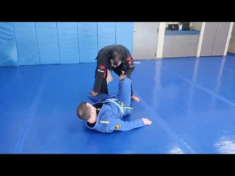 Old dlr pass. In the hw Discuss what we do different now