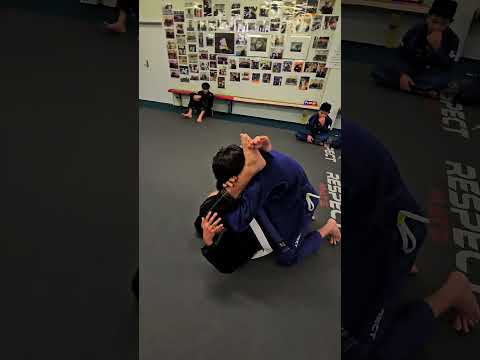 Holiday Program, sparring