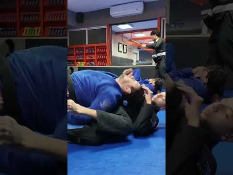 Gator pass by Professor Hussein Rasheed