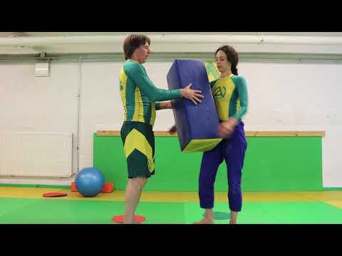 De Beren en de  Worstelkoffer