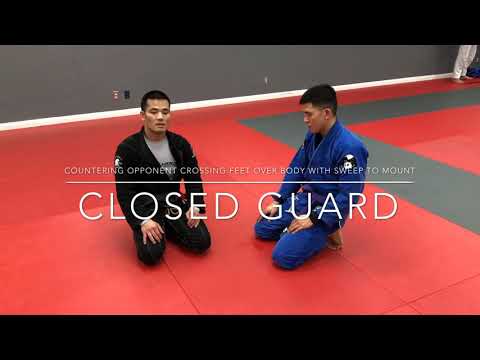 Closed guard pass counter