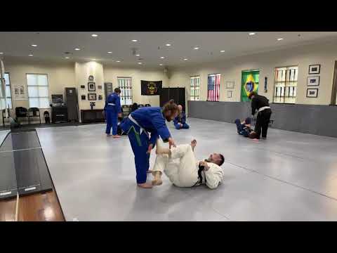 Neale Hoerle Brazilian Jiu Jitsu is live!