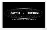 Cleyton Bastos Team logo