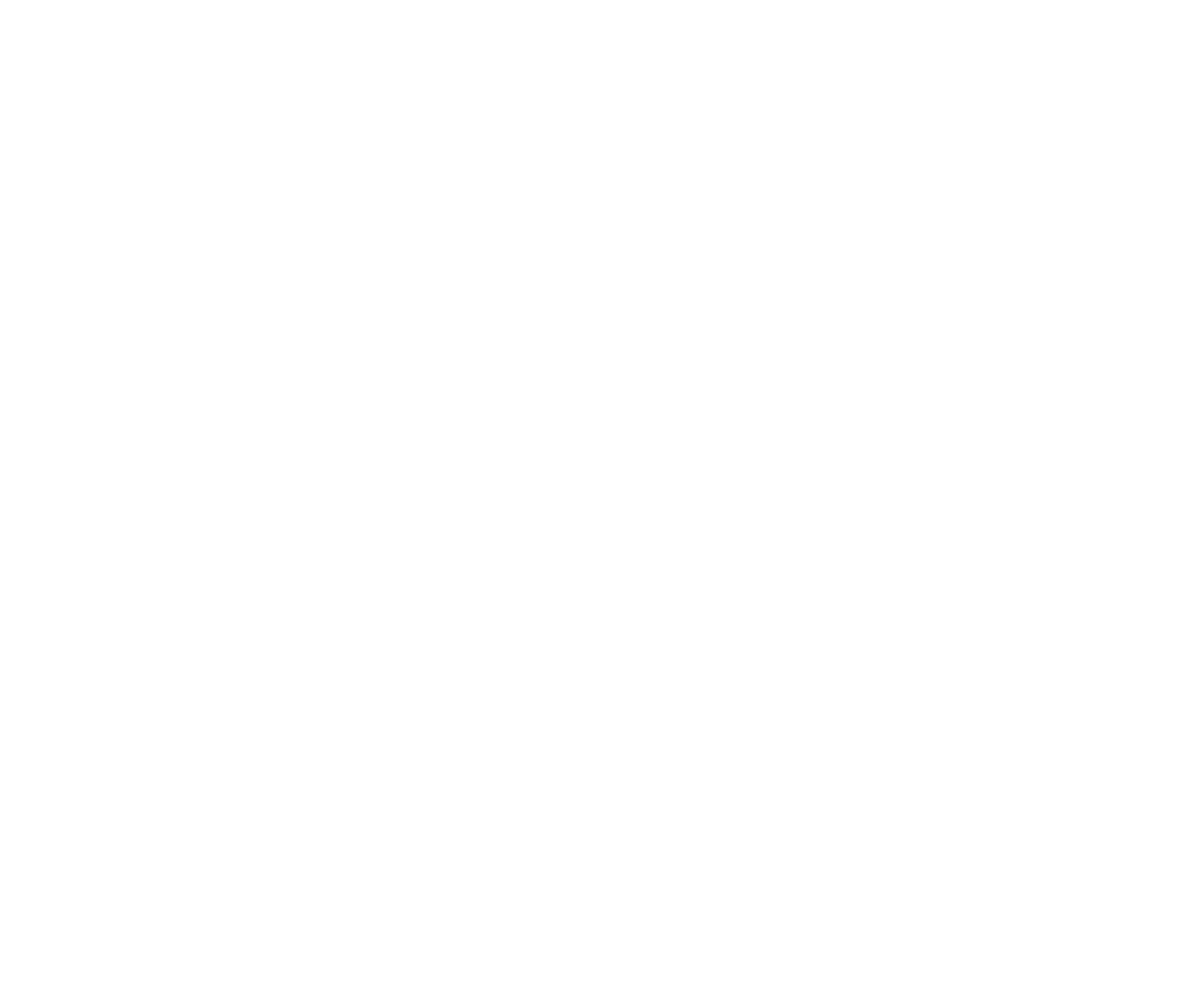 Conde Koma BJJ logo