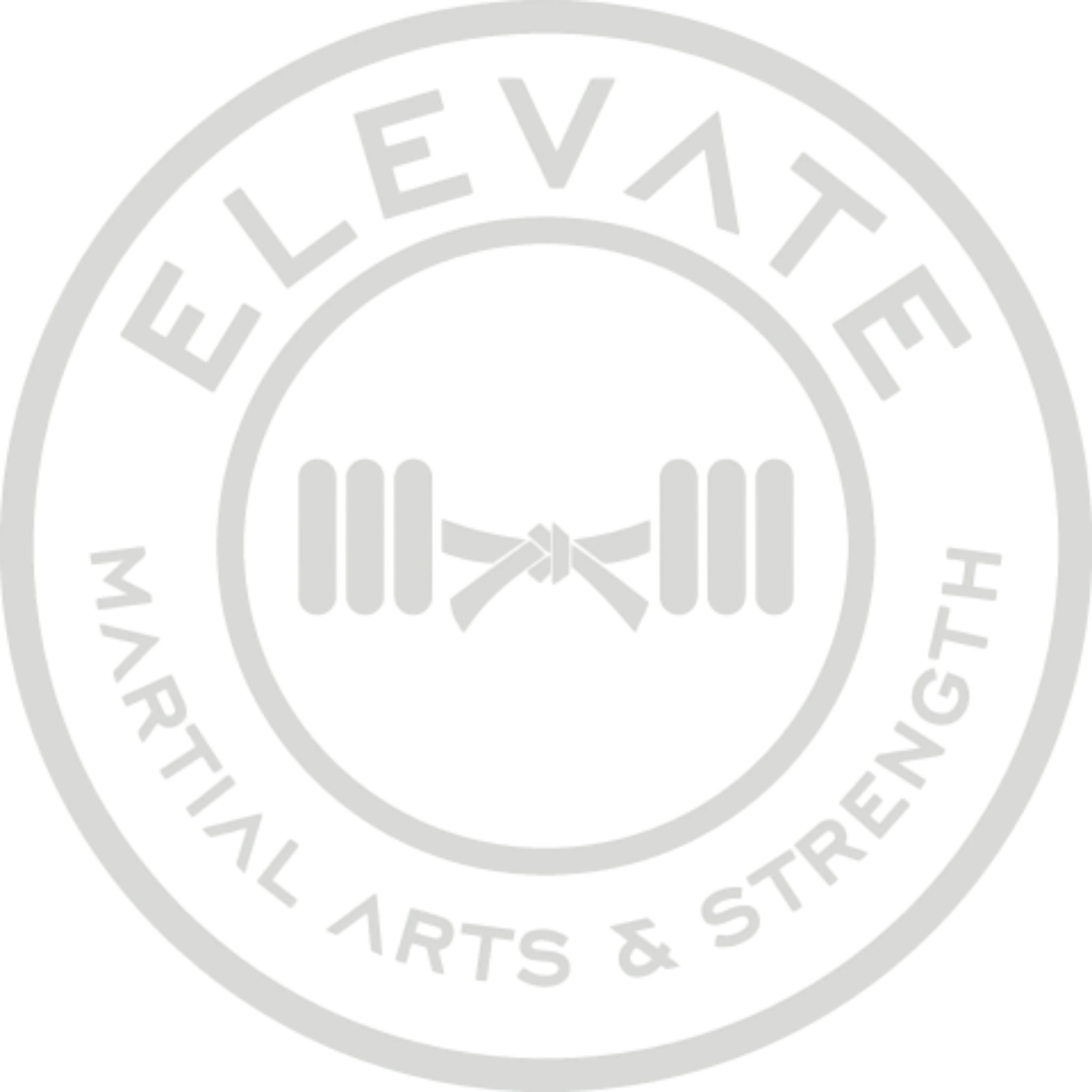 Elevate Martial Arts & Strength logo