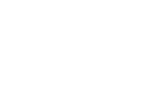 Putney BJJ logo